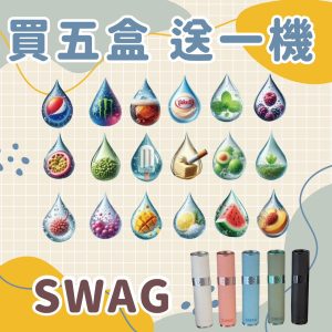 SWAG煙彈💎滿五盒送兩段式皮革主機💎超級優惠