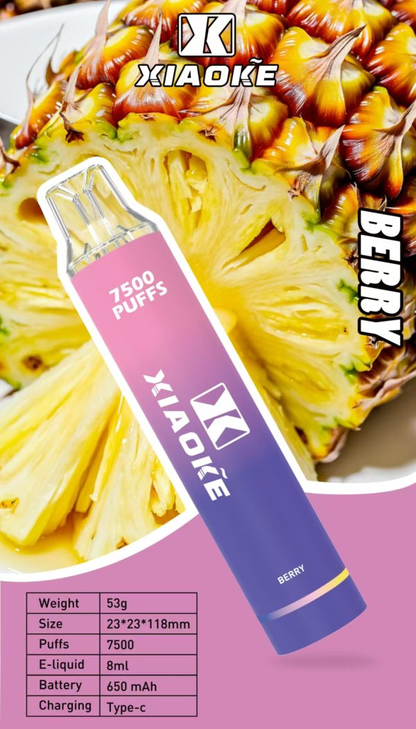 【XIAOKE 梟客】拋棄式 一次性霧化商品 7500口 (可充電)：圖片 3