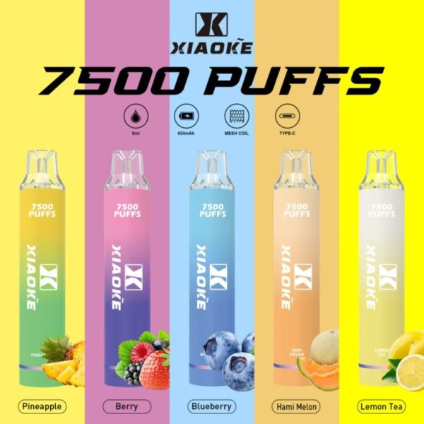 【XIAOKE 梟客】拋棄式 一次性霧化商品 7500口 (可充電)：圖片 4
