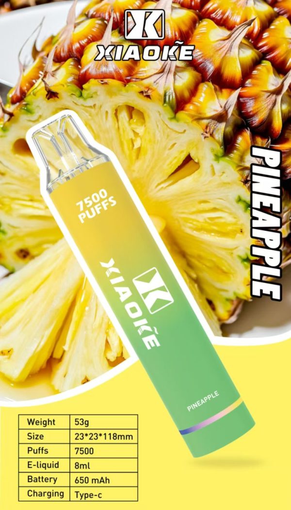 【XIAOKE 梟客】拋棄式 一次性霧化商品 7500口 (可充電)：圖片 5