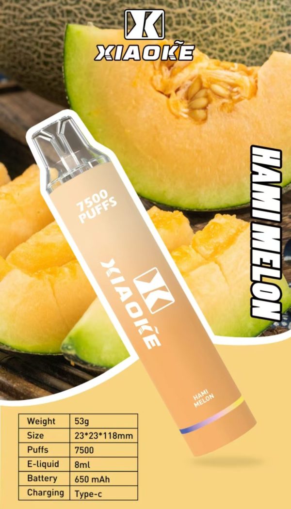 【XIAOKE 梟客】拋棄式 一次性霧化商品 7500口 (可充電)：圖片 6